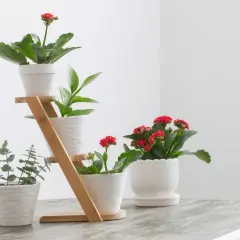 Z czego zrobić kwietnik do domu? Pomysły i instrukcje DIY!