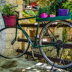 Przekształć stary rower w kwietnik DIY: Poradnik krok po kroku!