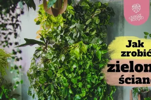 Kwietnik ścienny DIY: Jak stworzyć zieloną ścianę w 3 krokach?