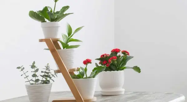 Z czego zrobić kwietnik do domu? Pomysły i instrukcje DIY!