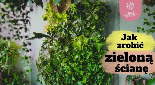 Kwietnik ścienny DIY: Jak stworzyć zieloną ścianę w 3 krokach?