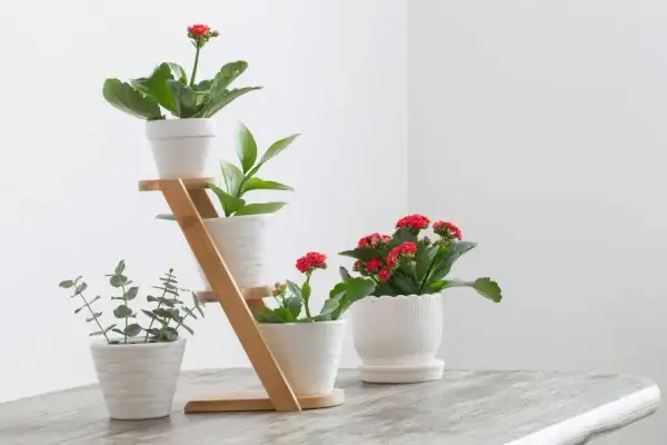 Z czego zrobić kwietnik do domu? Pomysły i instrukcje DIY!