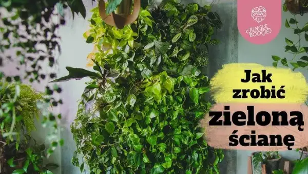 Kwietnik ścienny DIY: Jak stworzyć zieloną ścianę w 3 krokach?